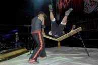 WRESTLING MANIA 